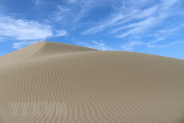 Đồi cát Nam Cương - Ninh thuận vẻ đẹp hoang sơ quyến rũ du khách