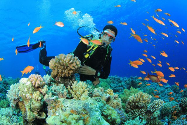 Đảo Cá Voi Nha Trang được bình chọn 10 điểm lặn biển đẹp nhất thế giới năm 2020